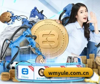 完美全站 APP 界面